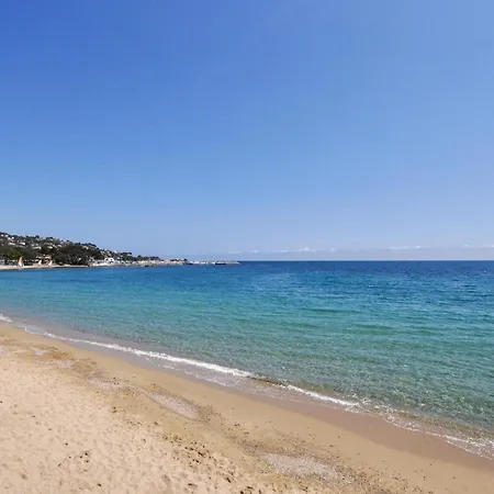 Amazing In Lejlighed